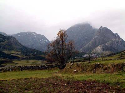 somiedo apartamentos,turismo rural,villar de vildas,casas de aldea,pornalcal,somiedo,casa rural,rurales,dormir villar de vildas, la pornalcal,vacaciones,ofertas,alojamientos rurales,hotel,hoteles,apartamento,somiedo,villar de vildas,la pornalcal,